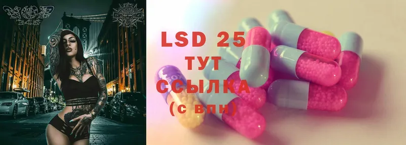 Лсд 25 экстази ecstasy  даркнет сайт  Шенкурск 